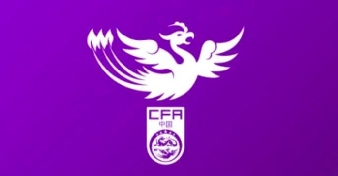 英国威廉集团案例展示